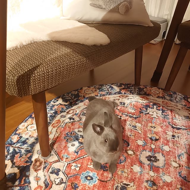 kirariさんの部屋