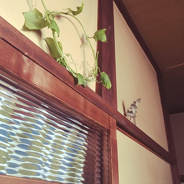 cantiamoさんの実例写真