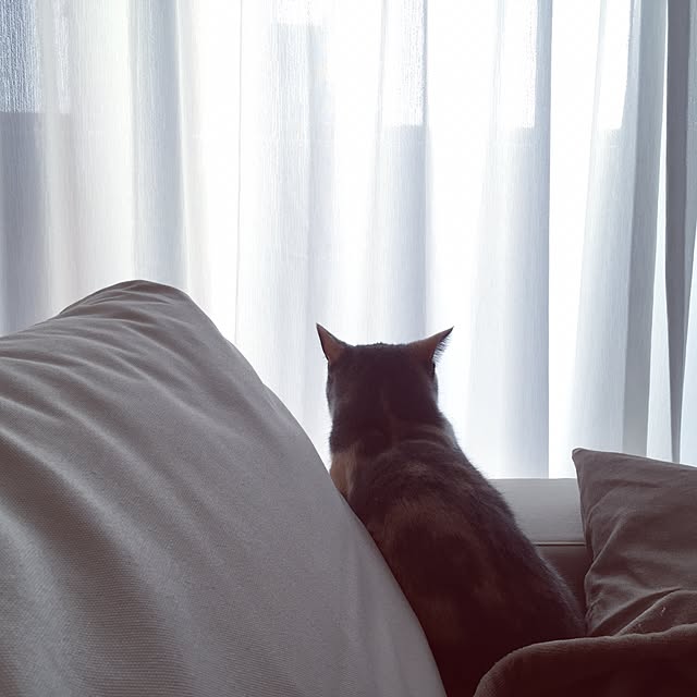 marieさんの実例写真