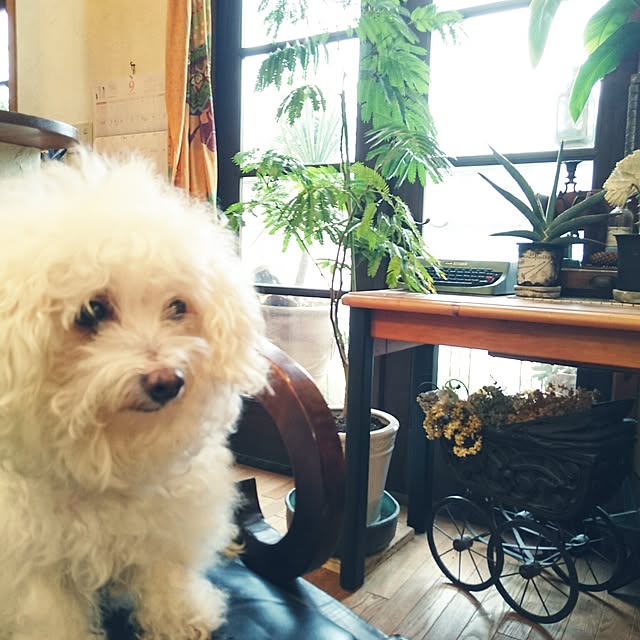 Etsukoさんの実例写真