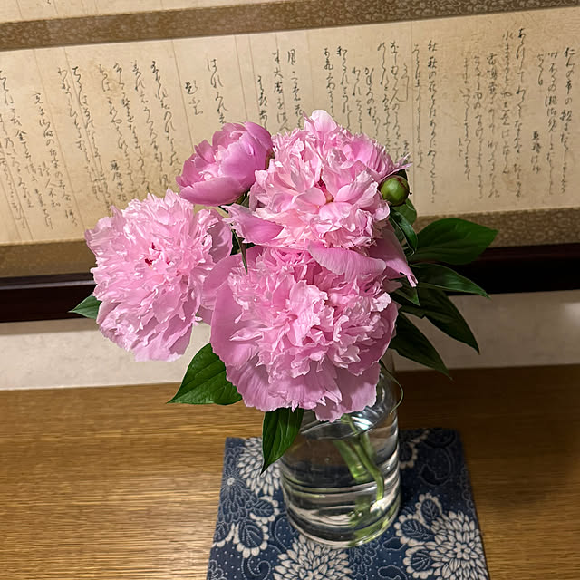 mamizaさんの部屋