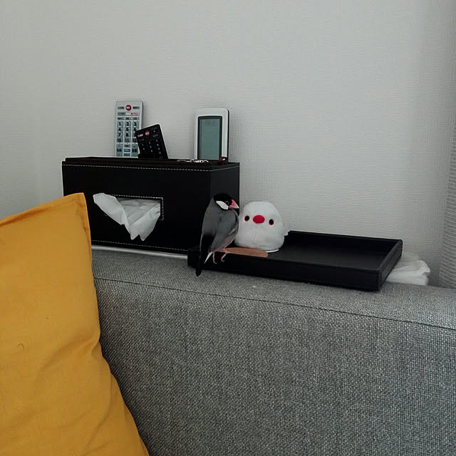 pitaさんの実例写真