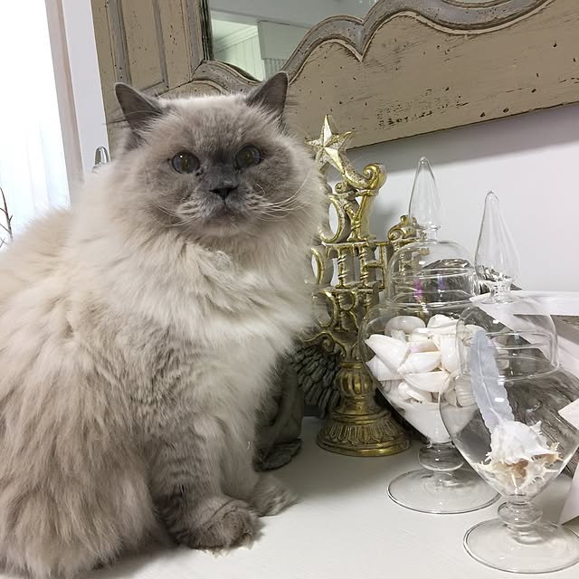 yuchiさんの実例写真