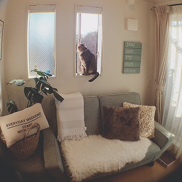 lovecatさんの実例写真