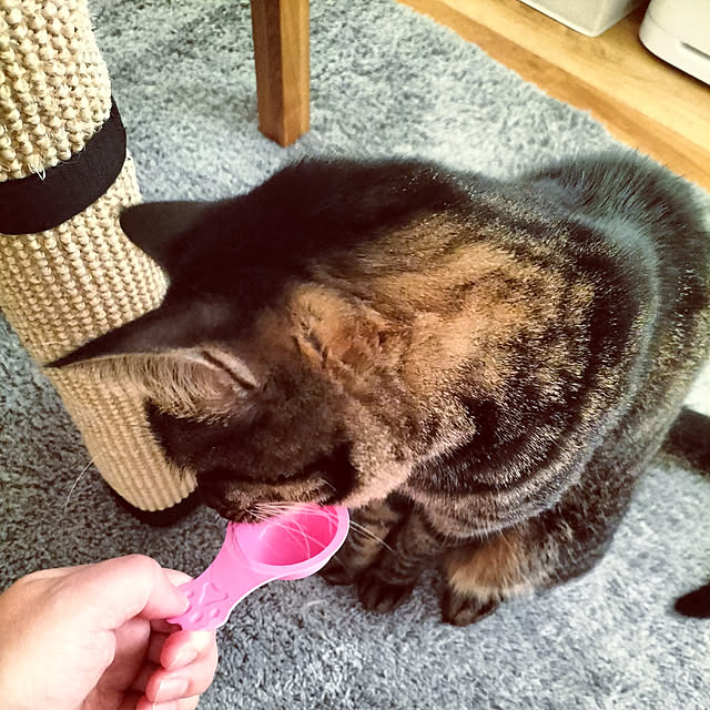hihaさんの実例写真