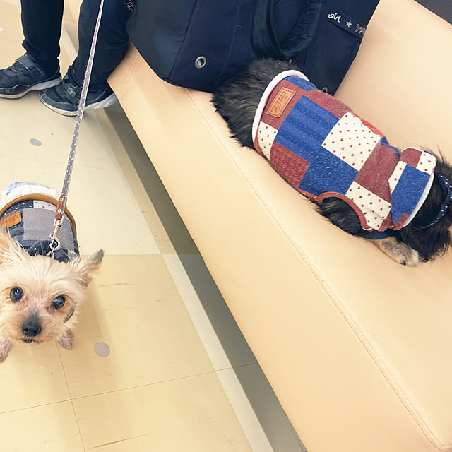 ohanaさんの実例写真