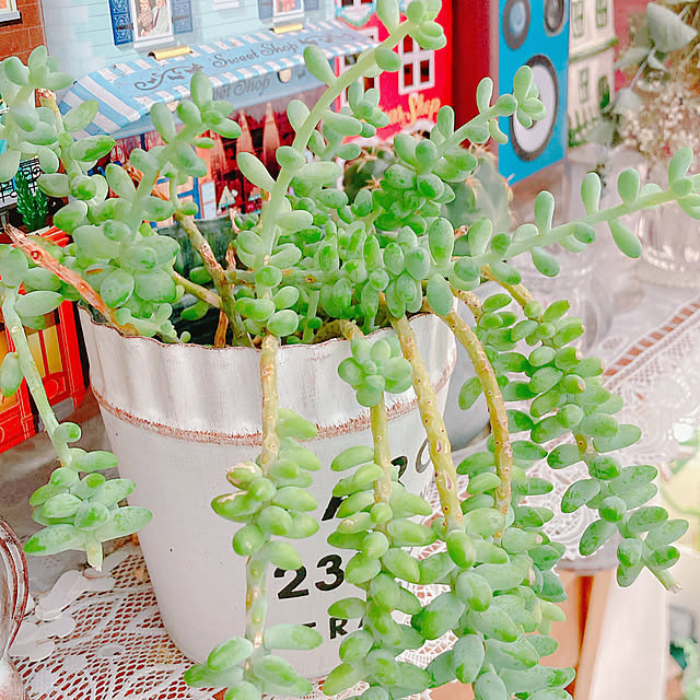 Hanakaさんの部屋