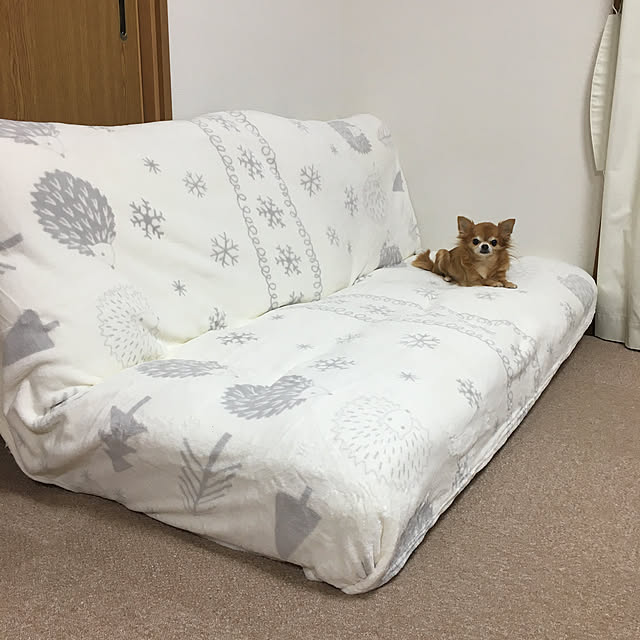 koroさんの実例写真