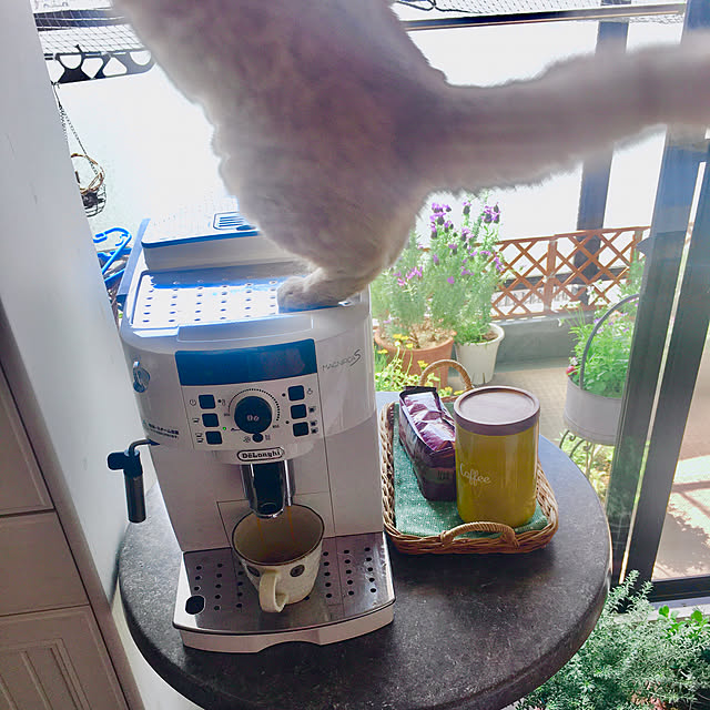 naokoさんの部屋