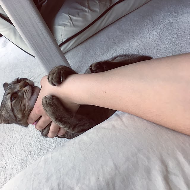 sayasさんの実例写真