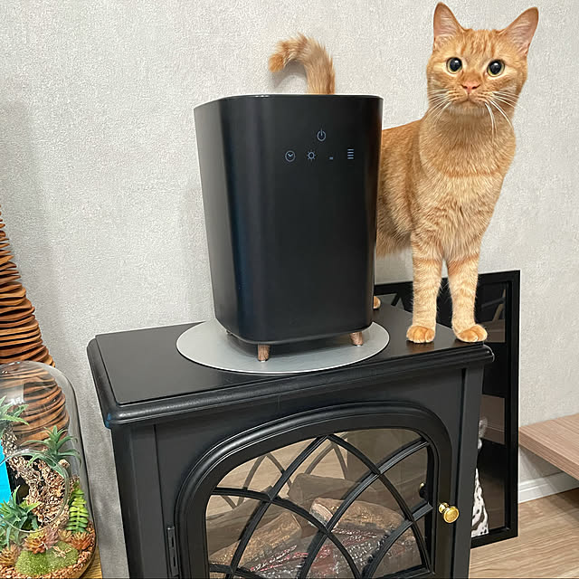 sherryさんの実例写真