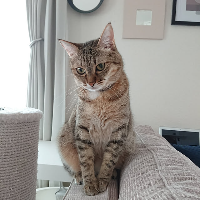 maikyさんの実例写真