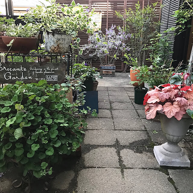 bibianさんの実例写真