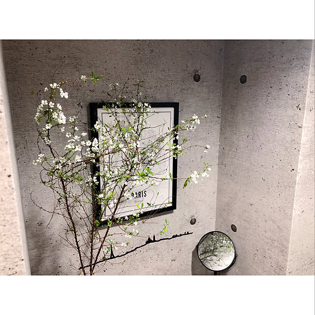 grass_fieldさんの実例写真