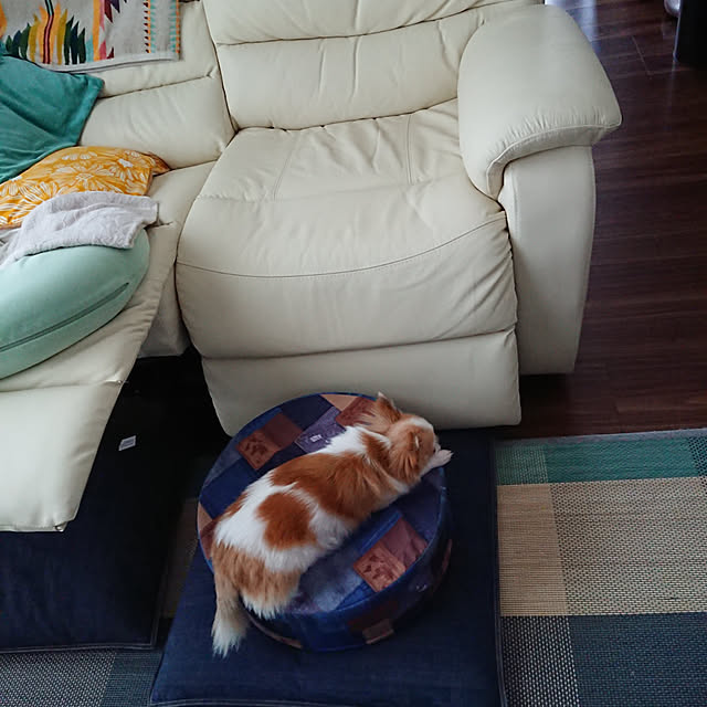 porinさんの実例写真