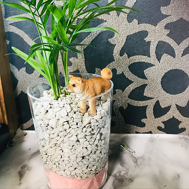 実例写真