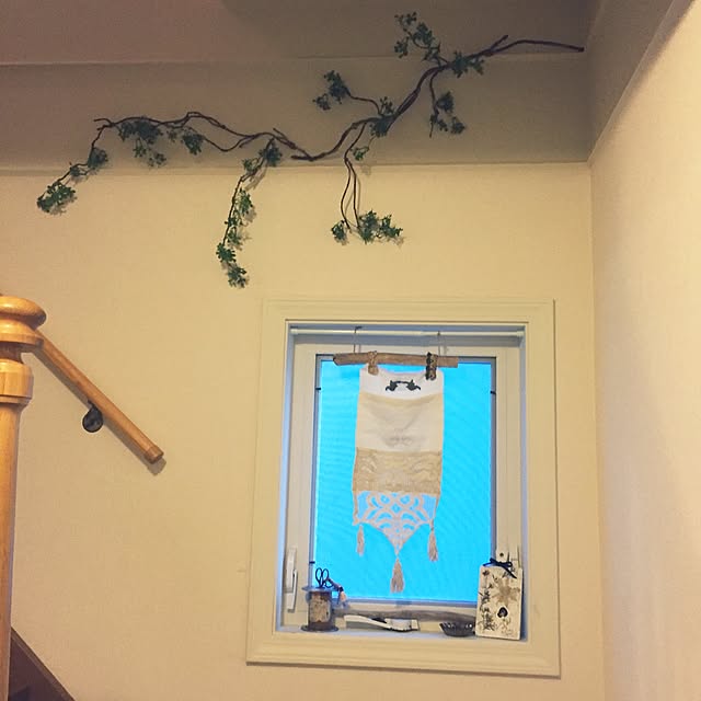 tortueさんの実例写真