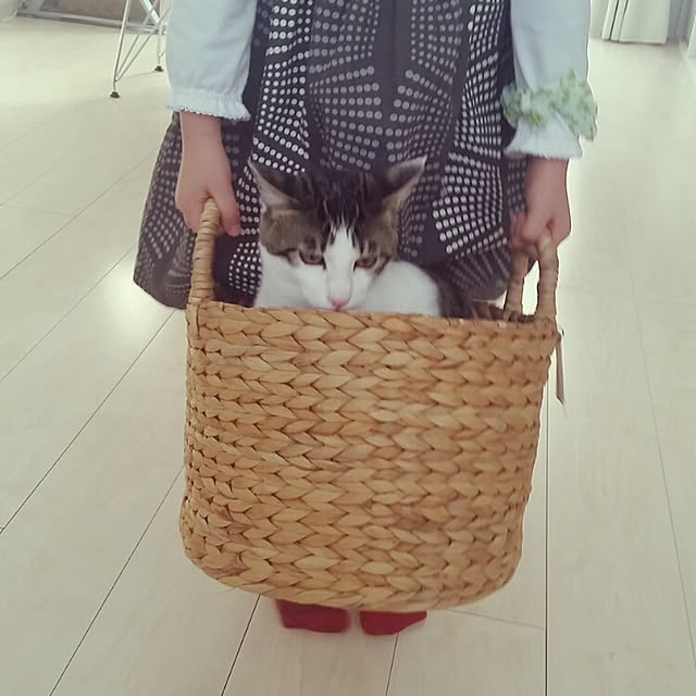 runayucoさんの実例写真