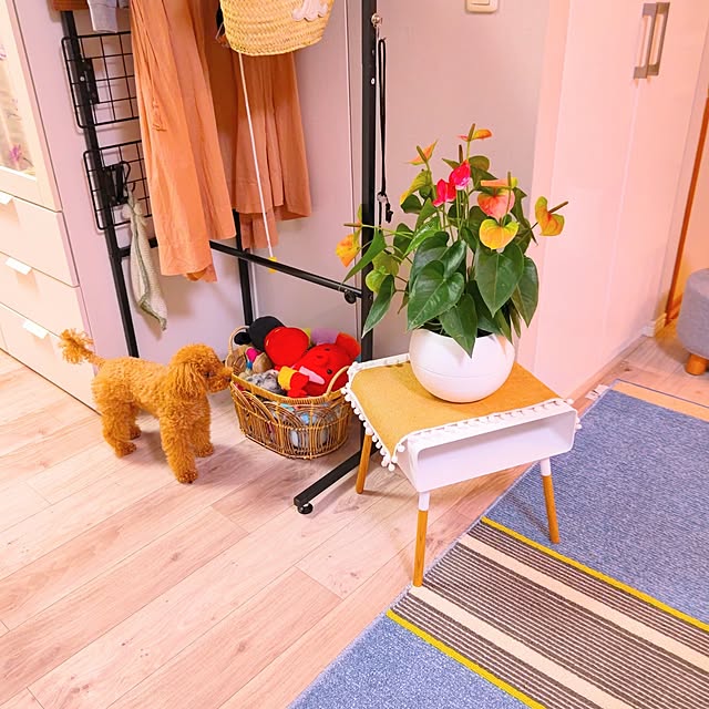 erisavesu4さんの部屋