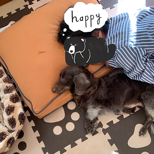 eshinobumさんの実例写真