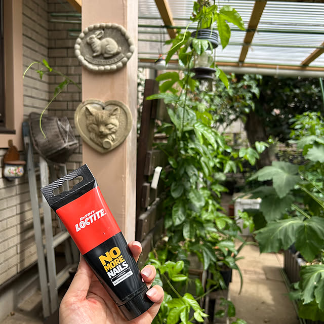 botanさんの実例写真