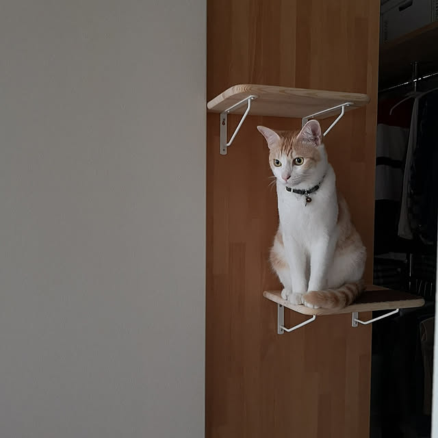 koyurizuさんの実例写真