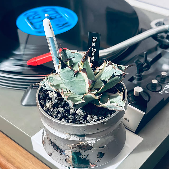 floydさんの部屋