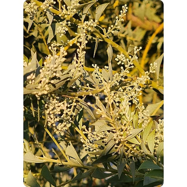 chiii13さんの部屋