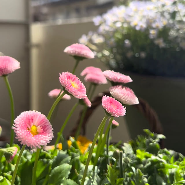 akさんの部屋