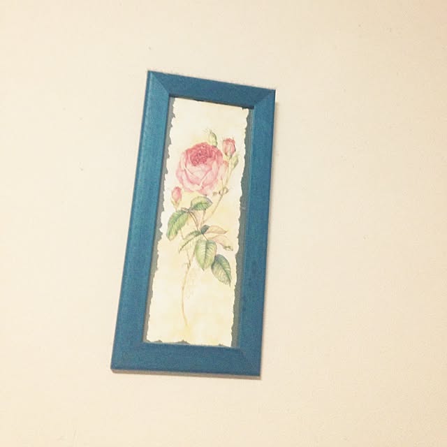 Shinaさんの実例写真