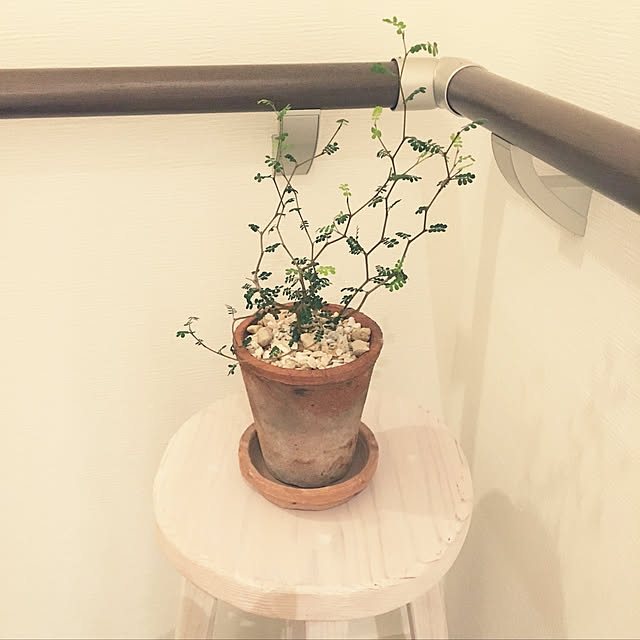takiさんの実例写真