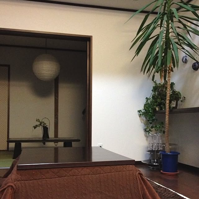 aoさんの実例写真