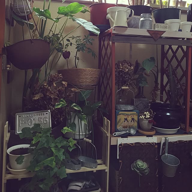 Norikoさんの実例写真