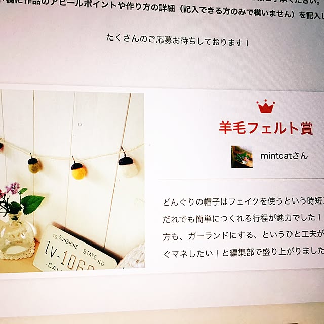 mintcatさんの実例写真