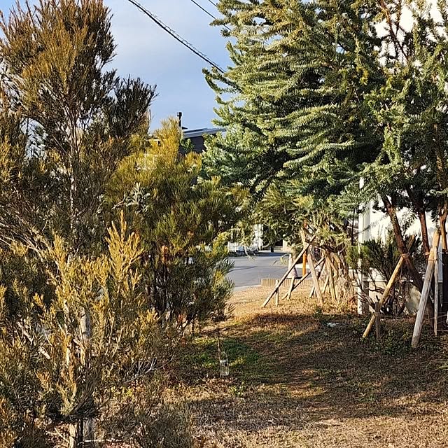 chiii13さんの実例写真