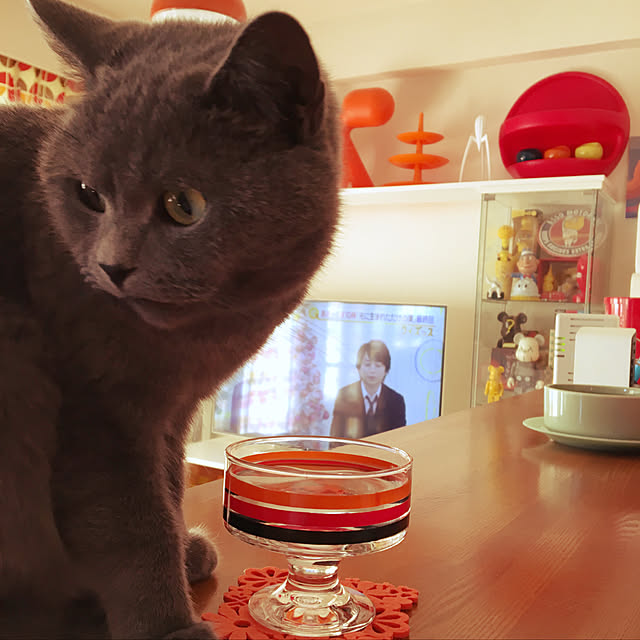 ikettenさんの実例写真