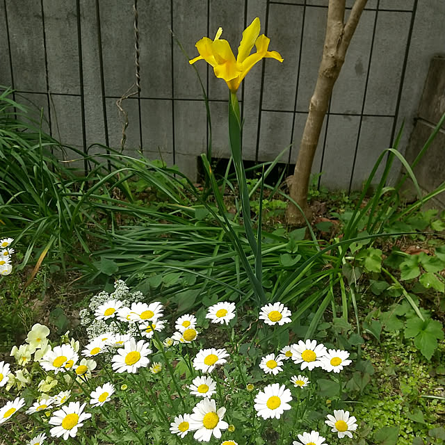 Rさんの実例写真