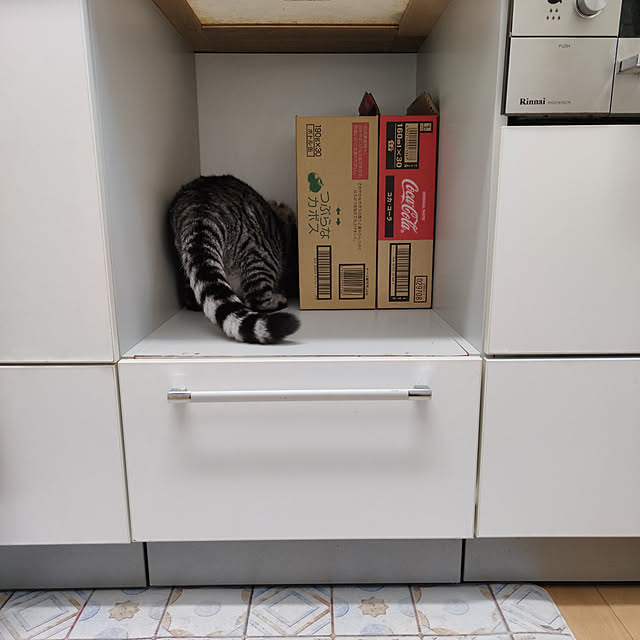 hiro3さんの実例写真