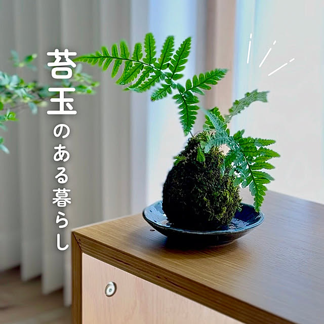 umiohouseさんの部屋