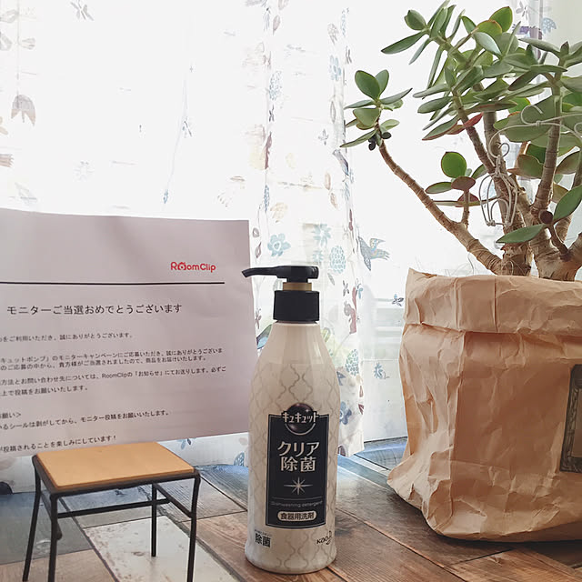 kotoriさんの実例写真