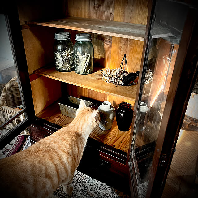 marusanさんの実例写真