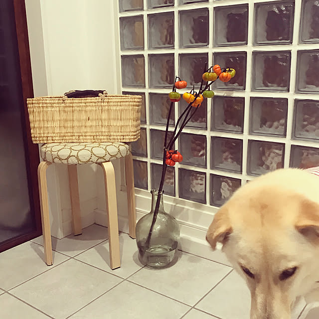 mtkさんの実例写真