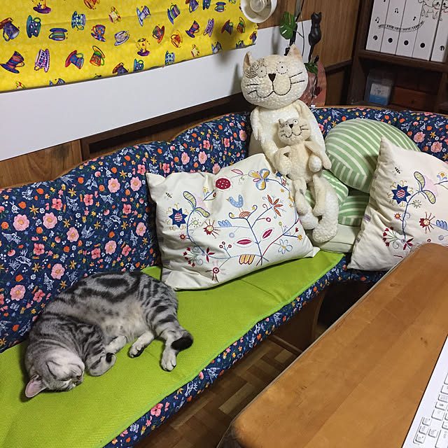 tanutanさんの実例写真