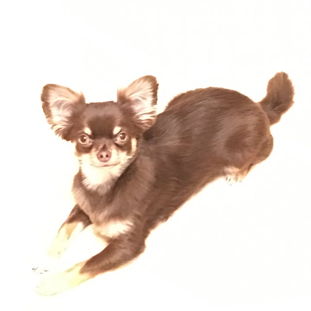 takaさんの実例写真
