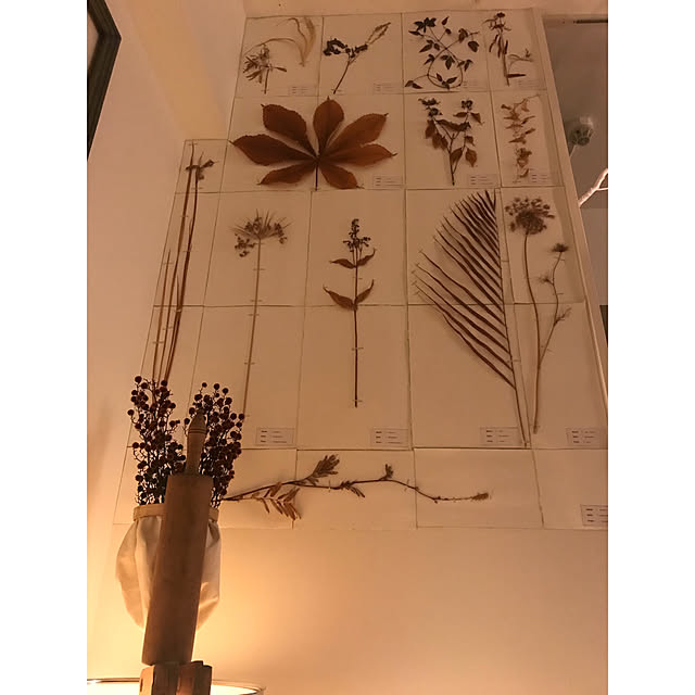 sot1127さんの実例写真