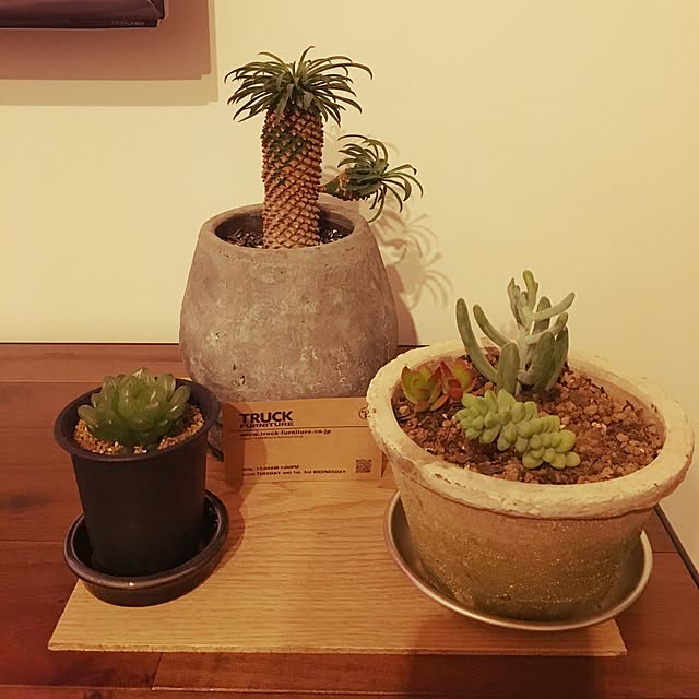 funqtaroさんの実例写真
