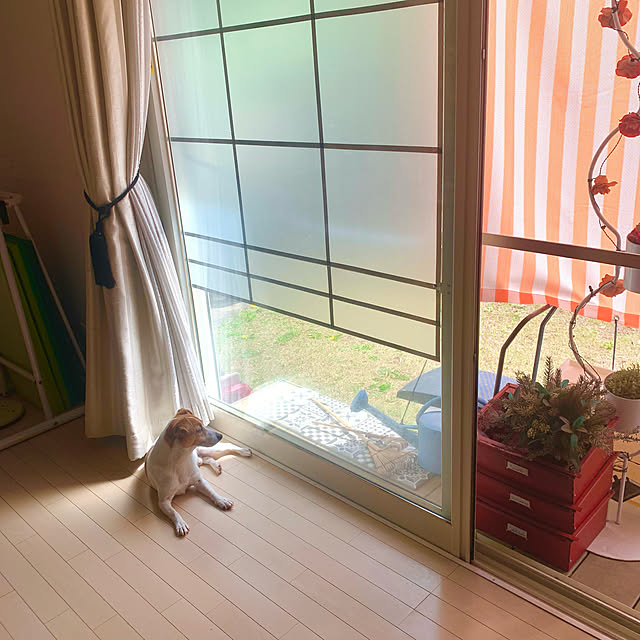 kittyさんの実例写真