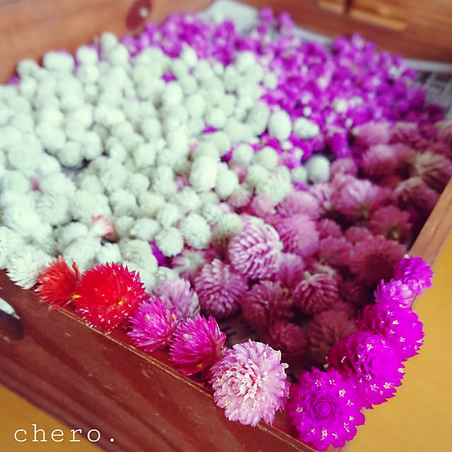 chero.さんの実例写真