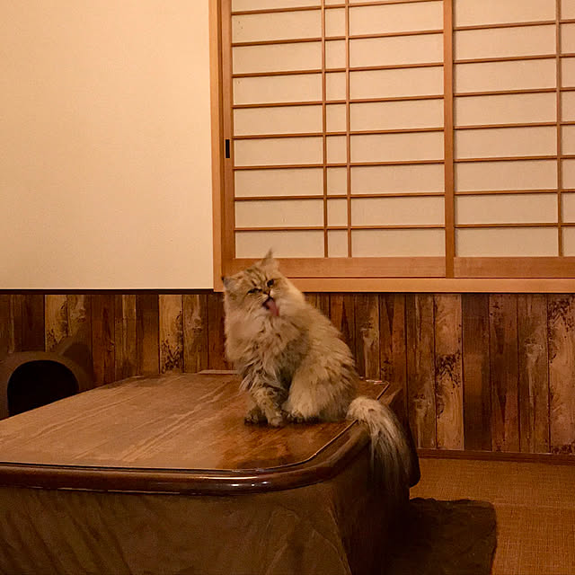 butachanさんの実例写真