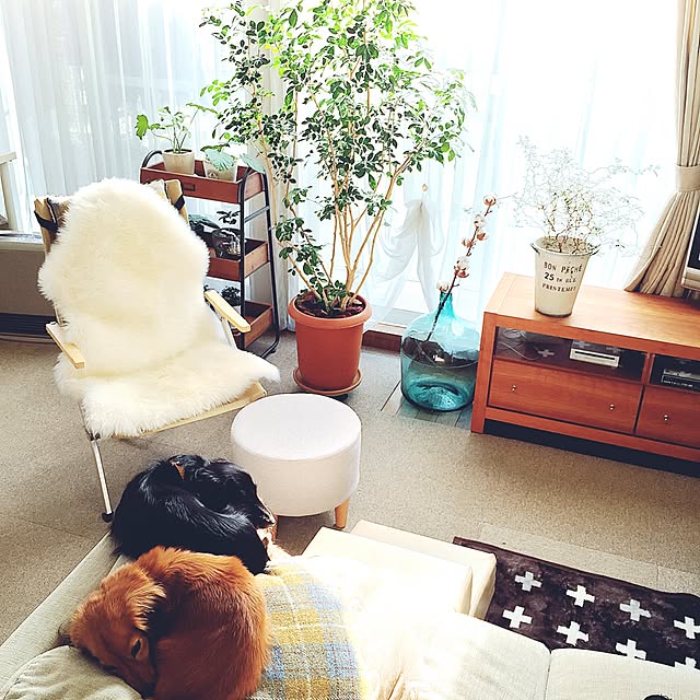 kaoru.m11さんの実例写真